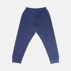 Piżama (longsleeve + spodnie) dziecięca OVS 1912208 116 cm Blue (8056781397404) - obraz 6