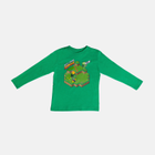Дитяча футболка з довгими рукавами для хлопчика OVS 1834277 122 см Green (8056781762394) - зображення 1