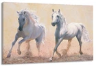 Модульна картина у вітальню / спальню Пара Коней MLP_258 ( 60х30см )