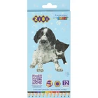 Карандаши цветные ZiBi Dogs&Cats шестигранные 12 цветов (ZB.2427)