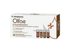 Ефірна олія Arkoesencial Olfae Essential Oil Kit 4 Essential Oils 4x10 мл (8428148462979) - зображення 1