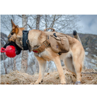 Тактический рюкзак OneTigris K9 Hoppy Camper Dog Pack для собак L 2000000141244 - изображение 5