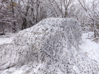 Маскувальна сітка "брудний сніг" 6х5 м біла - изображение 1