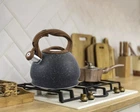 Чайник із свистком Gusto Пірат GT-1411-30 3 л