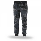 Спортивные брюки Dobermans Aggressive Classic SPDK311MCM (M)