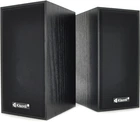 Акустическая система Kisonli T-004 Black (YT23418)