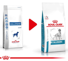 Sucha karma Royal Canin Anallergenic dla psów z alergią 3 kg (3182550940580) - obraz 3