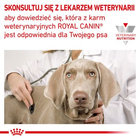 Cухий корм Royal Canin Anallergenic для собак з алергією 3 кг (3182550940580) - зображення 4