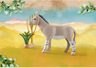 Набір фігурок Playmobil Wiltopia African Wild Donkey (4008789712899) - зображення 3