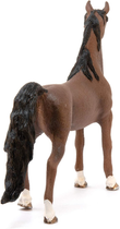 Figurka Schleich Horse Club American Saddlebred Gelding 11 cm (4059433027067) - obraz 4
