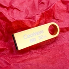 Флеш-память USB CeaMere C3 32 GB Золотая
