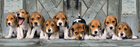 Puzzle Clementoni Panorama Little Beagles 98 x 33 cm 1000 elementów (8005125394357) - obraz 2