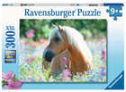 Puzzle Ravensburger Horse In The Meadow 49 x 36 cm 300 elementow (4005556132942) - obraz 1