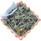 Чай трав'яний Діабетичний 50г + 10 фільтр мішечків Карпатський натуральний Лісосад - зображення 1