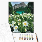 Картина по номерам Ромашки у гор (BS29451) Brushme 40x50 см