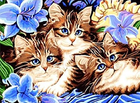 Набір для алмазної вишивки Norimpex Три коти 40 х 30 см (5902444083036) - зображення 1