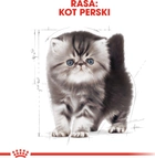 Sucha karma Royal Canin Persian Kitten dla kociąt rasy perskiej 2 kg (3182550721219) - obraz 7