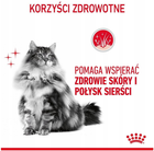 Sucha karma dla kotów Royal Canin Hair and Skin Care Zdrowa skóra i sierść 400 g (3182550721721) - obraz 7