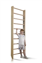 Шведская стенка Sportbaby Sport 0-220