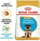 Sucha karma Royal Canin German Shepherd Puppy dla szczeniąt rasy owczarek niemiecki 1 kg (3182550724128) - obraz 3