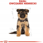 Sucha karma Royal Canin German Shepherd Puppy dla szczeniąt rasy owczarek niemiecki 1 kg (3182550724128) - obraz 7