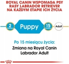 Sucha karma Royal Canin Labrador Retriever Puppy dla szczeniąt rasy Labrador Retriever 1 kg (3182550725484) - obraz 8