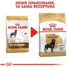 Сухий корм Royal Canin Rottweiler Adult для дорослих собак породи ротвейлер 12 кг (3182550736060) - зображення 2