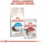 Sucha karma Royal Canin Indoor Long Hair dla kotów sterylizowanych długowłosych 4 kg (3182550739405) - obraz 4