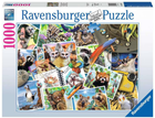 Puzzle Ravensburger Zwierzaki w podróży 1000 elementów (4005556173228) - obraz 1
