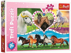 Puzzle Trefl Piękne konie 200 elementów (5900511132489) - obraz 1