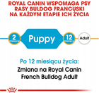 Sucha karma Royal Canin French Bulldog Puppy dla szczeniąt rasy buldog francuski 10 kg (3182550777674) - obraz 3