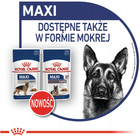 Сухий корм Royal Canin Maxi Ageing 8+ для собак великих порід старше 8 років 15 кг (3182550803113) - зображення 8