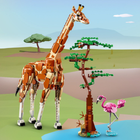 Zestaw klocków Lego Creator Dzikie zwierzęta safari 780 elementów (31150) - obraz 6