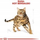 Sucha karma Royal Canin Bengal Adult dla dorosłych kotów bengalskich 400 g (3182550864084) - obraz 7