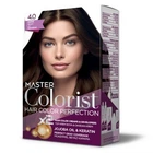 Краска Master Colorist для воло