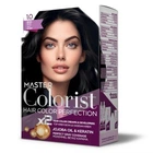 Фарба Master Colorist для воло