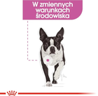 Sucha karma Royal Canin Mini Relax Care dla dorosłych psów małych ras Relaks 1 kg (3182550895118) - obraz 6