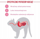 Вологий корм Royal Canin Kitten Instinctive Паштет для кошенят до 12 місяців 12 х 85 г (9003579003831) - зображення 6