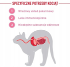 Mokra karma Royal Canin Kitten Instinctive Pasztet dla kociąt do 12 miesiąca życia 12 x 85 g (9003579003831) - obraz 6