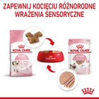 Mokra karma Royal Canin Kitten Instinctive Pasztet dla kociąt do 12 miesiąca życia 12 x 85 g (9003579003831) - obraz 7