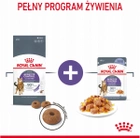 Mokra karma dla dorosłych kotów Royal Canin Appetite Control Care Jelly Bites 12 x 85 g (9003579016916) - obraz 7
