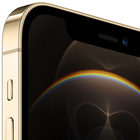 Smartfon Apple iPhone 12 Pro 512GB Gold (APL_MGMW3) - obraz 3