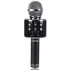 Караоке Микрофон-колонка WS858 (Black) Epik (181407)