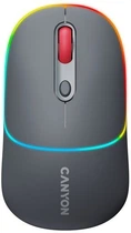 Комп'ютерна миша Canyon MW-22, Dark Grey (CNS-CMSW22DG)