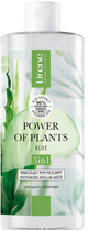 Płyn micelarny Lirene Power of Plants nawilżający 3 w 1 aloes 400 ml (5900717077287)