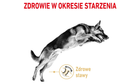 Сухий корм для собак Royal Canin German Shepherd Ageing 5+ 3 кг (3182550908382) - зображення 2