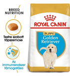 Sucha karma dla psów z nadwagą Royal Canin Golden Retriever Puppy 1 kg (3182550751247) - obraz 2