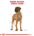 Sucha karma dla psów Royal Canin Great Dane Adult 12 kg (3182550736046) - obraz 3