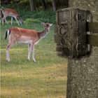 Охотничья камера фотоловушка для охоты с сим картой FHD 50 Mpx IP66 HC-800A - изображение 8