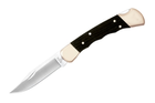 Нож 2 Buck "Folding Hunter" - изображение 1